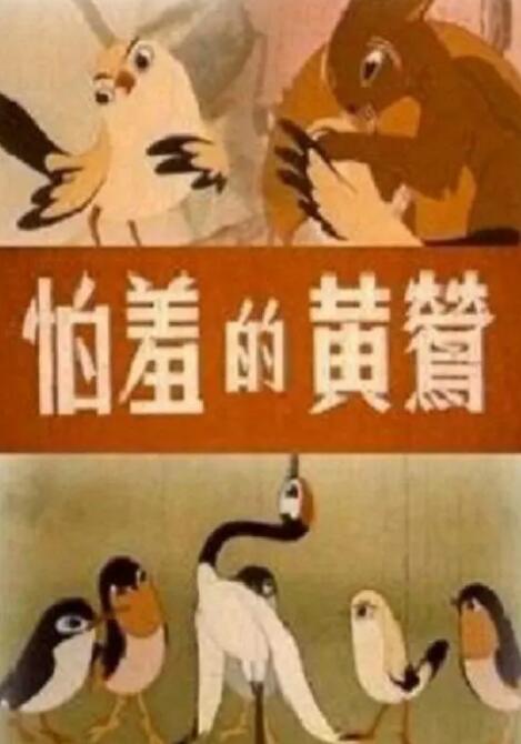 《我的瑜伽老师》